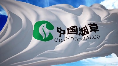 中国烟草——贵州中烟工业有限责任公司摆闸项目
