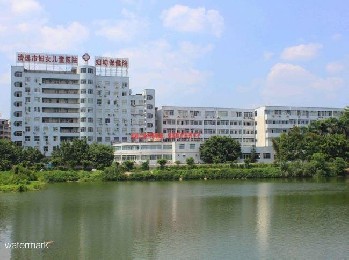广东省清远市妇幼保健院——豪华斜八角翼闸项目