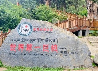 景区闸机检票口哪家好？