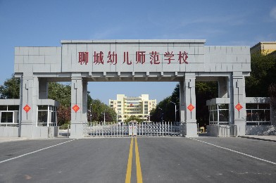 山东省聊城幼儿师范学校——健康码测温人脸识别摆闸项目