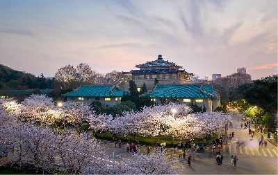 武汉大学（万林艺术博物馆）——铁军全新系列雄鹰02翼闸项目