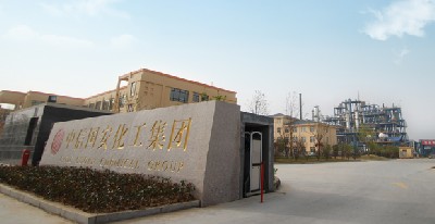 中国500强——中信国安化工集团