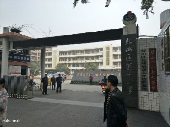 四川省彭山区第一小学——人脸识别翼闸项目
