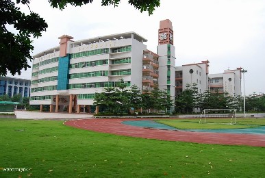 东莞市凤岗镇中心小学——人脸识别小摆闸项目
