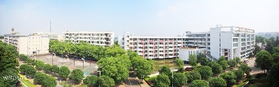 湖南科技职业学院——翼闸摆闸项目