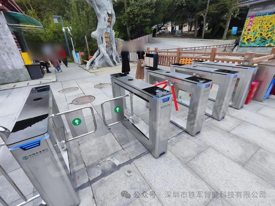 1763520729898959.jpg 5.jpg